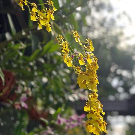 Thanh Thuy Ho Şi Min Exterior foto
