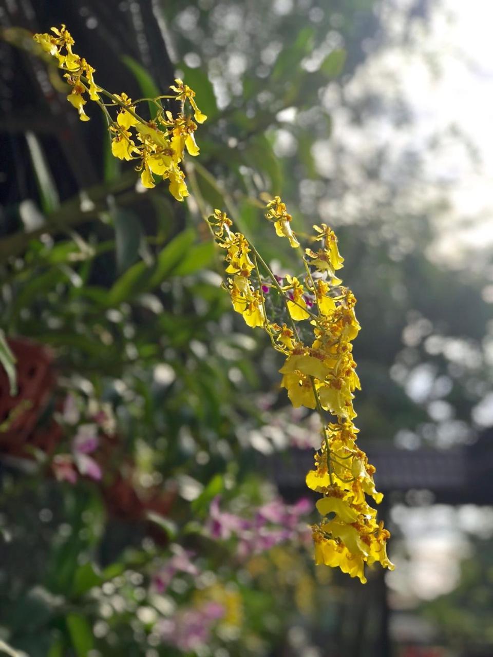 Thanh Thuy Ho Şi Min Exterior foto